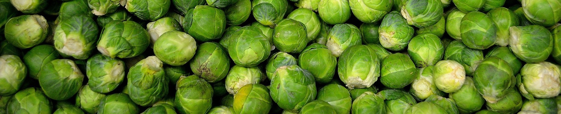 brussels-sprouts_294KB