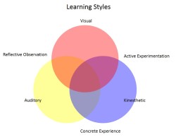 The many different learning styles of employees.