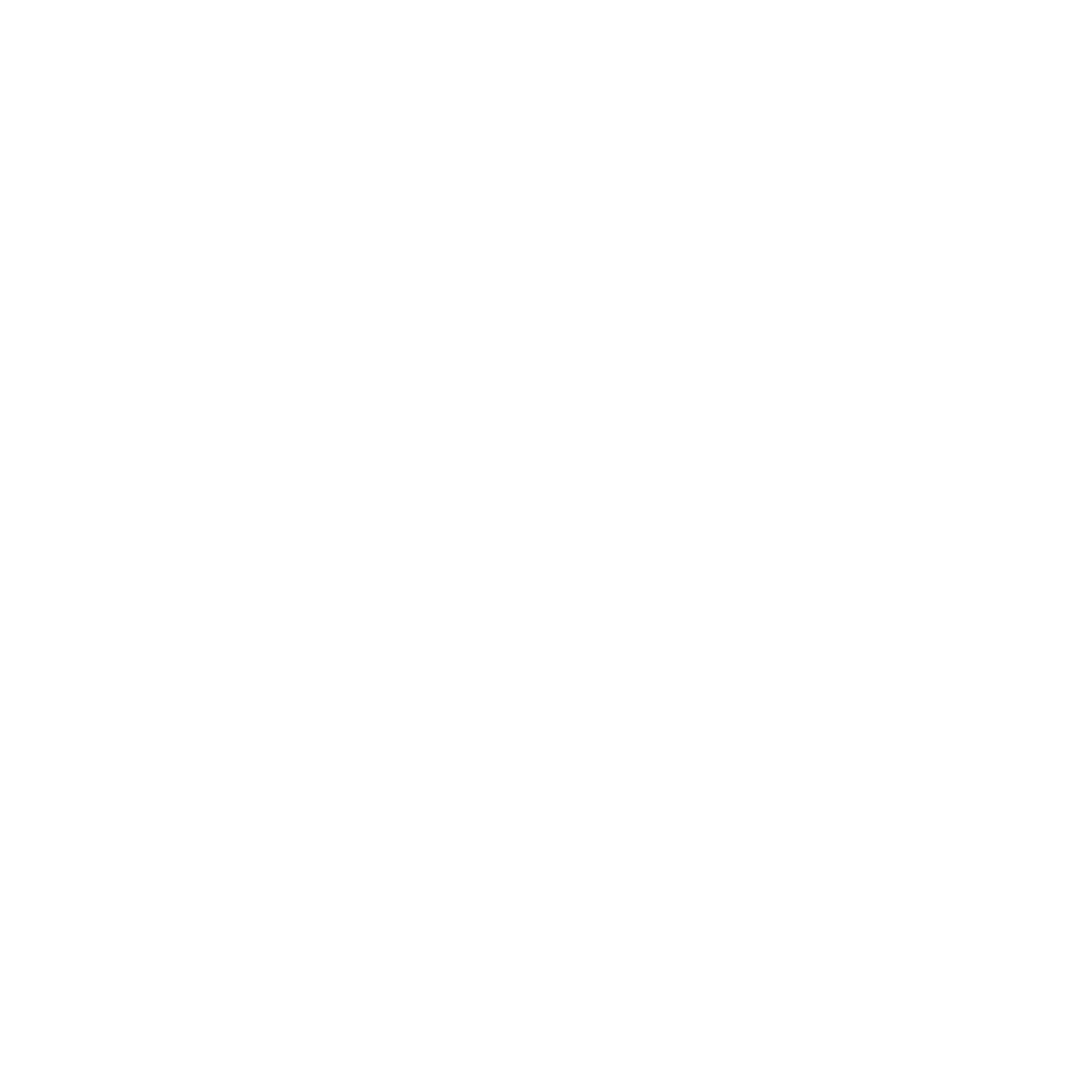 White LinkedIn Icon
