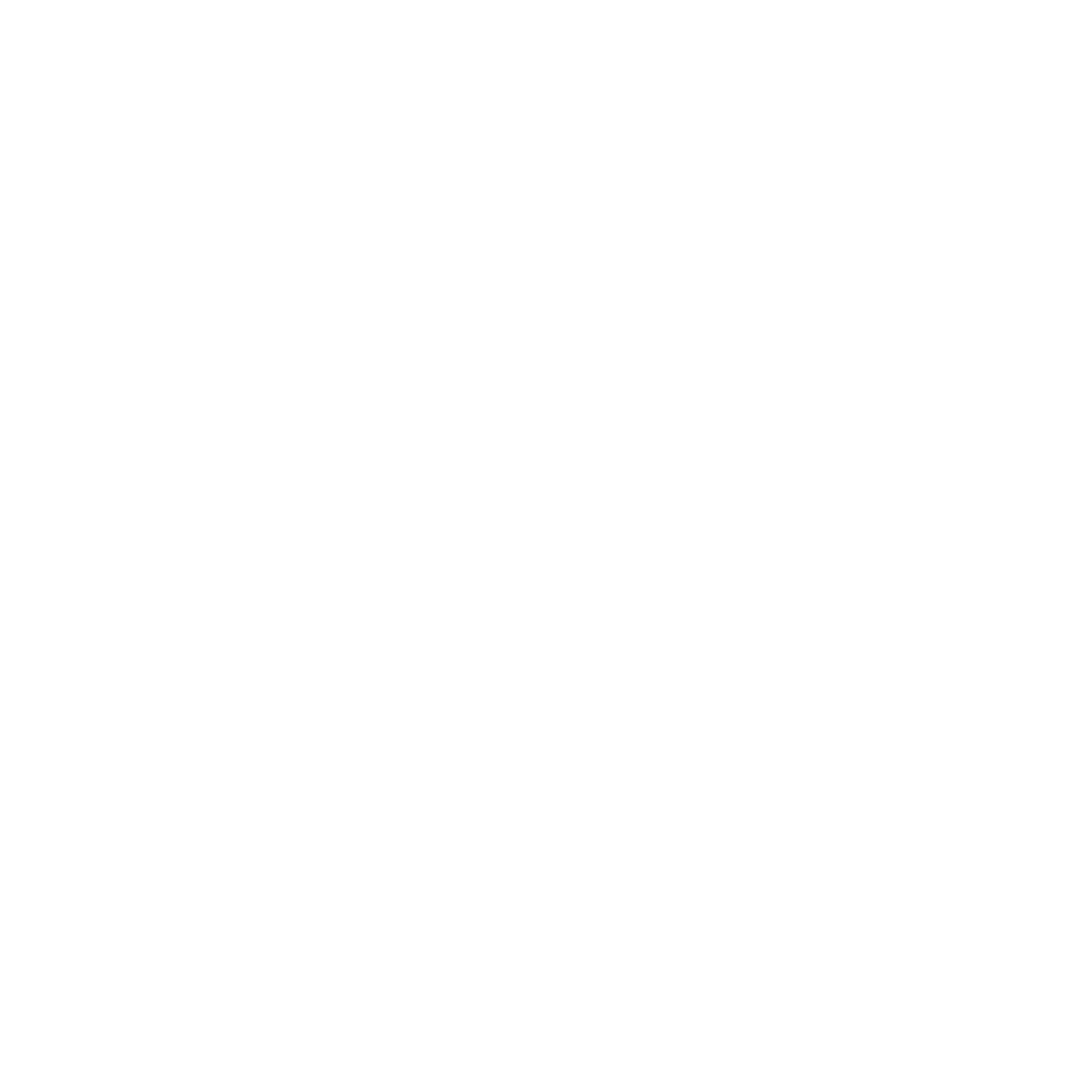 White Youtube Icon