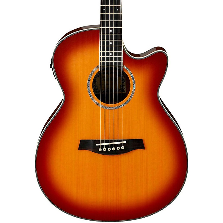 Cutaway guitar 06