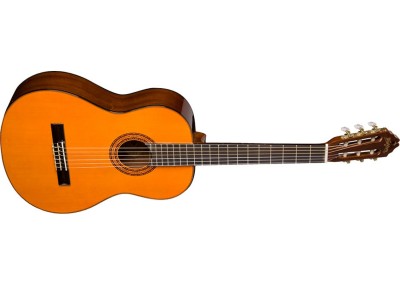 Nylon-string guitar 03