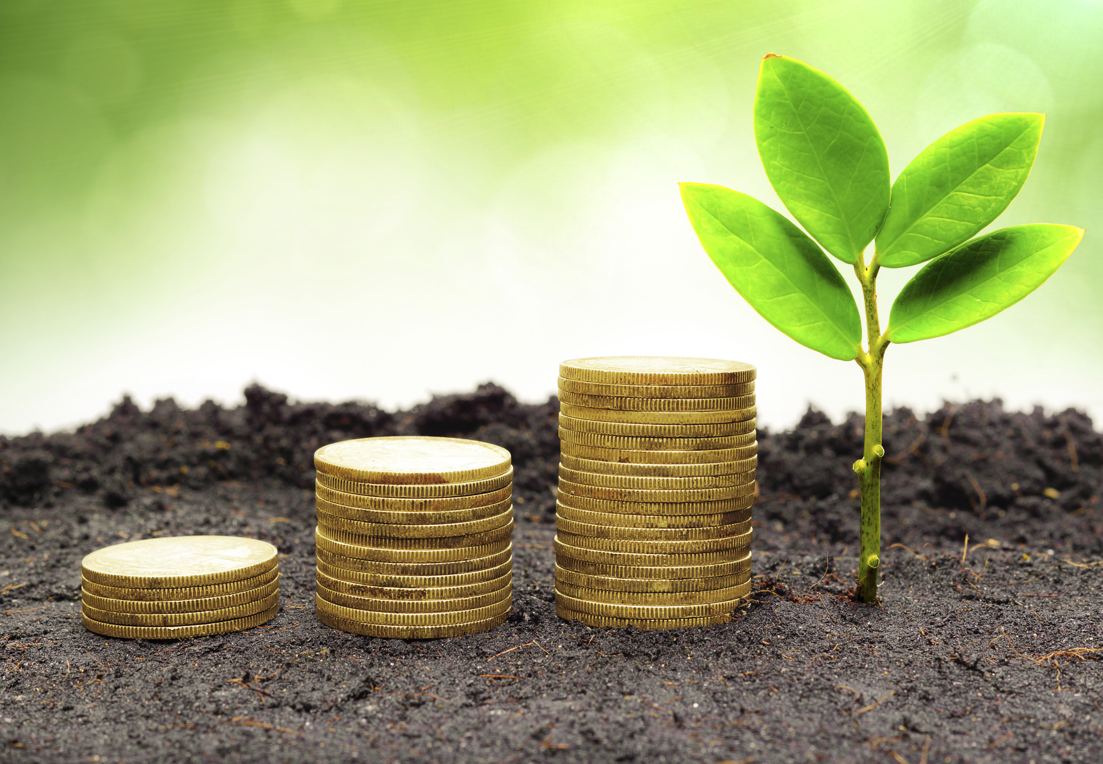 Money at Dash Business