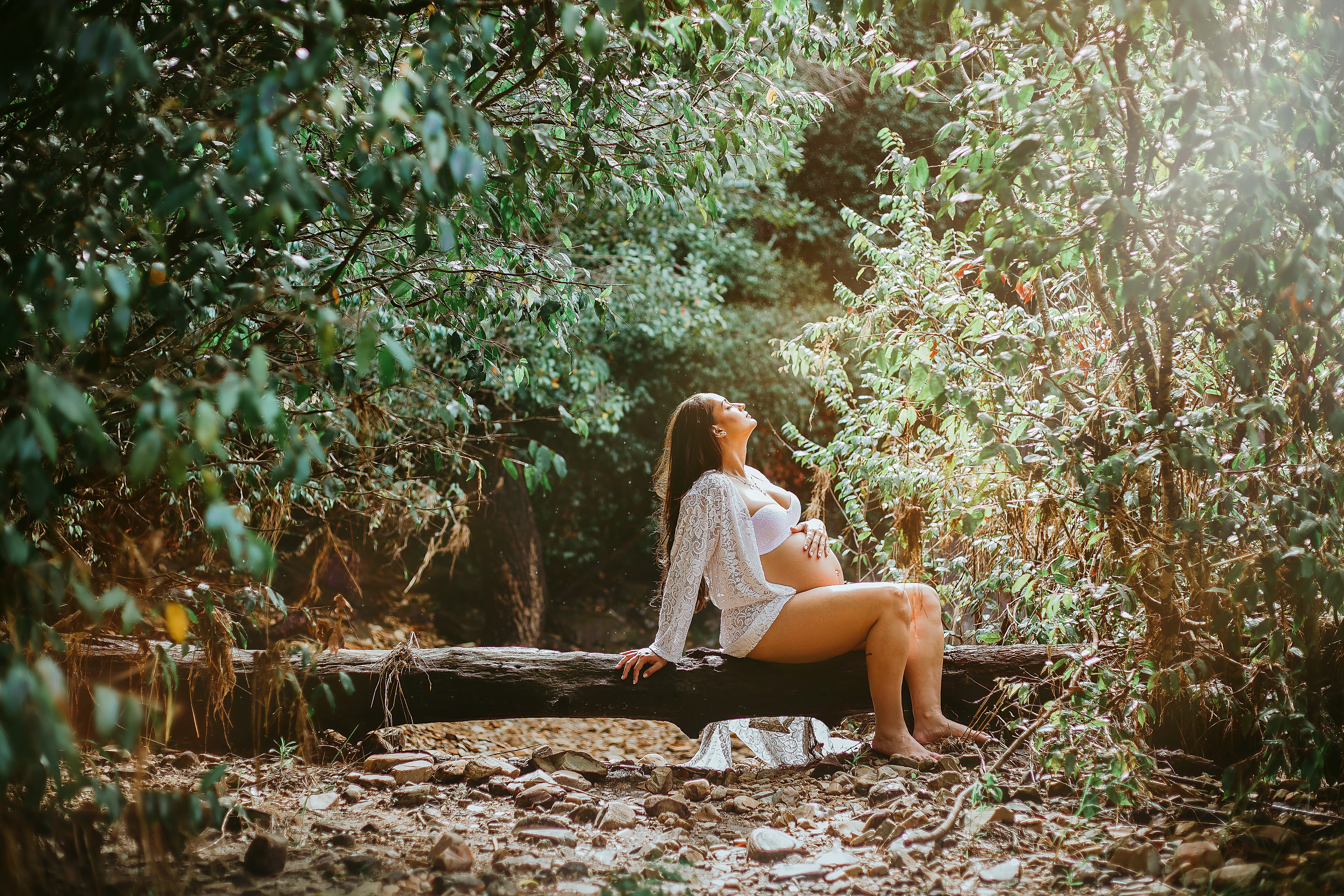 environment-expecting-forest-2168832