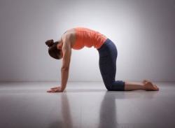 cat-pose-yoga