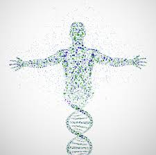 microbiome 1