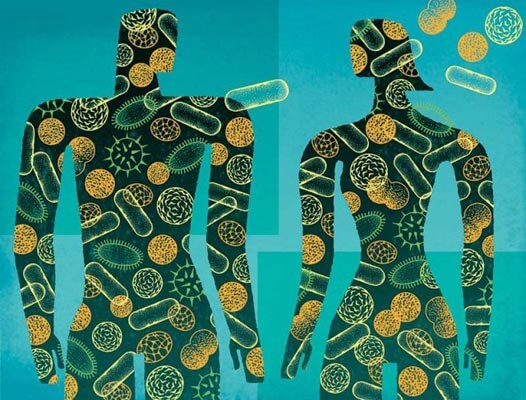 microbiome couple