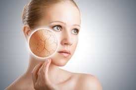 skin microbiome 1
