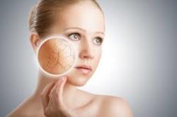 skin microbiome 1