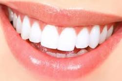 teeth 6