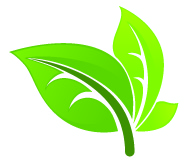 EHC half inch leaf cmyk