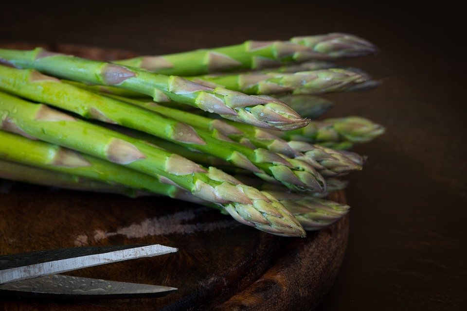 asparagus pix