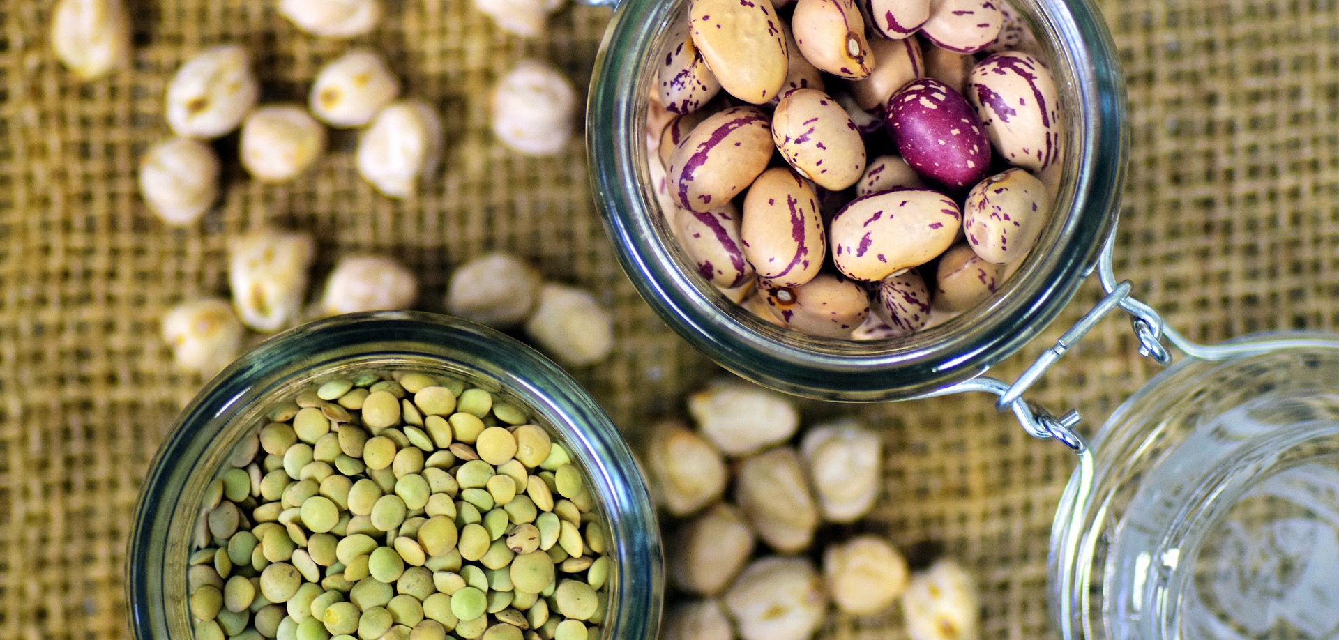 beans lentil pix_copy