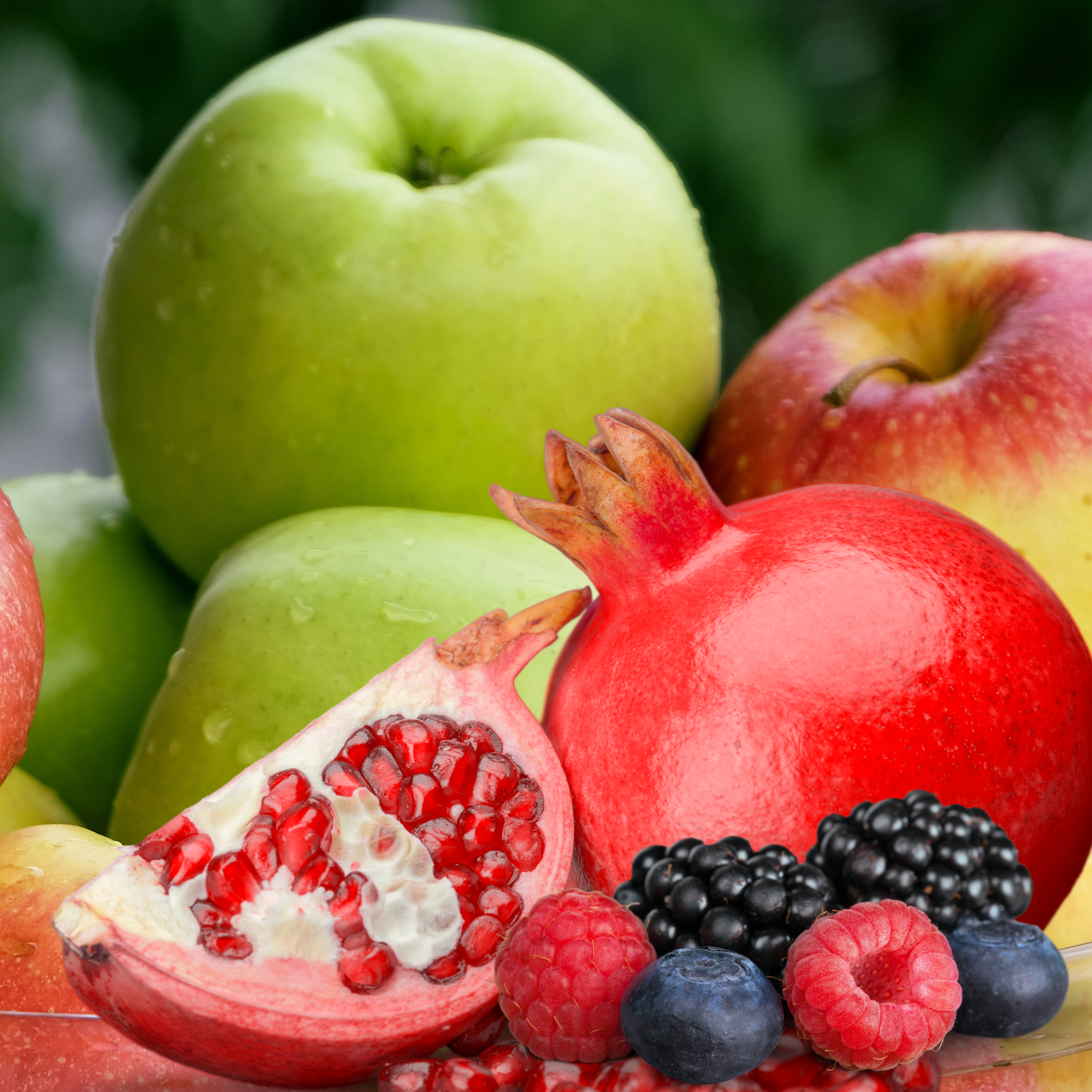 Berries Apple Pom Canva
