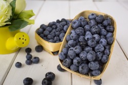Blueberries pixabay