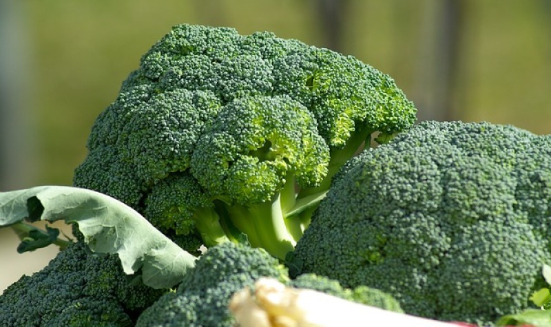 Broccoli pix