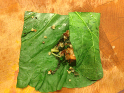 Collard-wrap