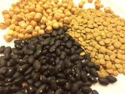 beans