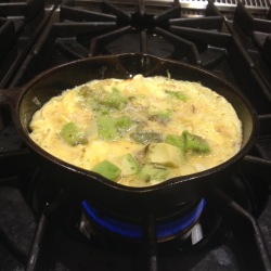 omelet egg avocado