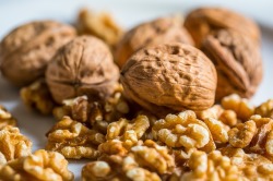 walnut pixabay