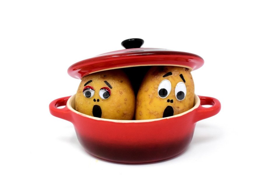 fear potatoes pix_copy