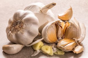 garlic pix