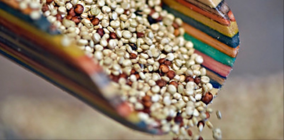 quinoa Flickr copy_copy