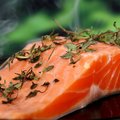 salmon raw pix