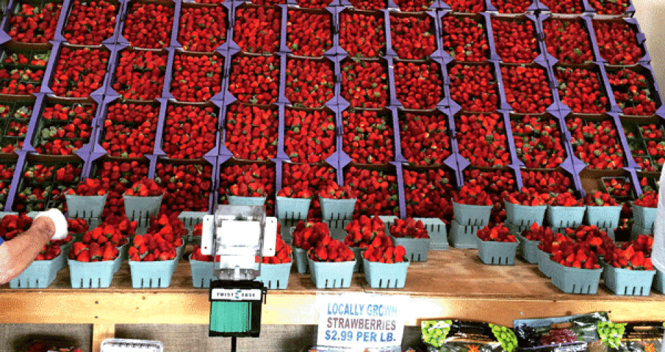 strawberries 2