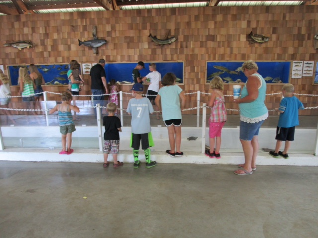 Fair visitors and wall