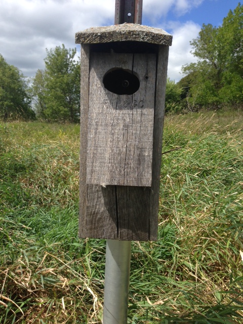 One Mile Woodduck house