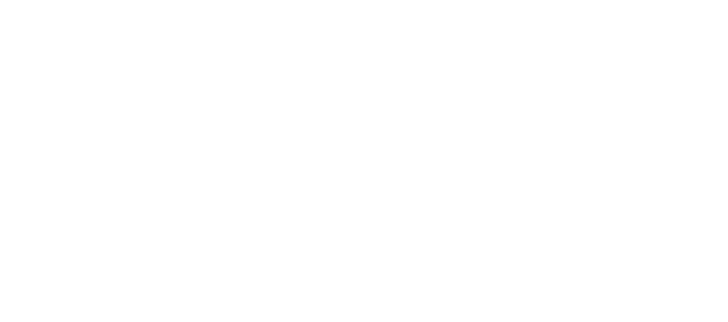Rides