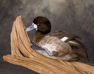 274