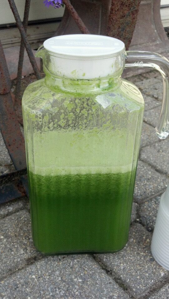 Green Juice SHF