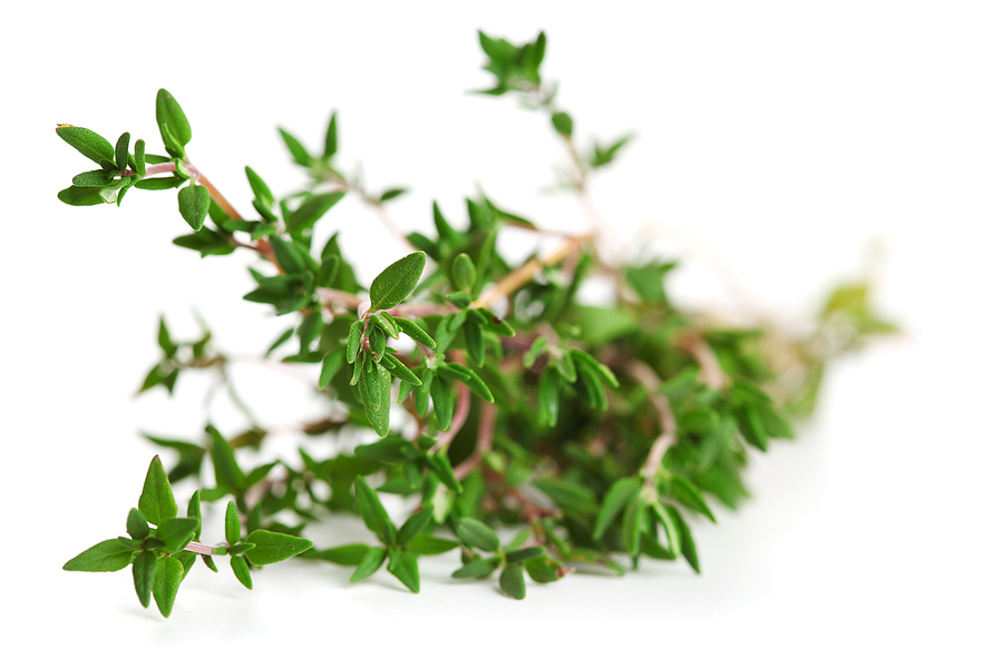 bigstock-thyme-on-white-isolated-backgr-29992982