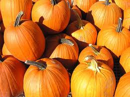 pumpkins_copy