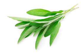 sage