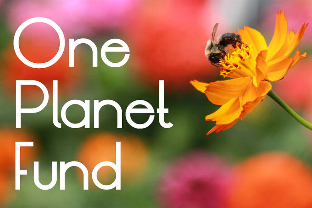 One Planet Fund with a bee on a flower