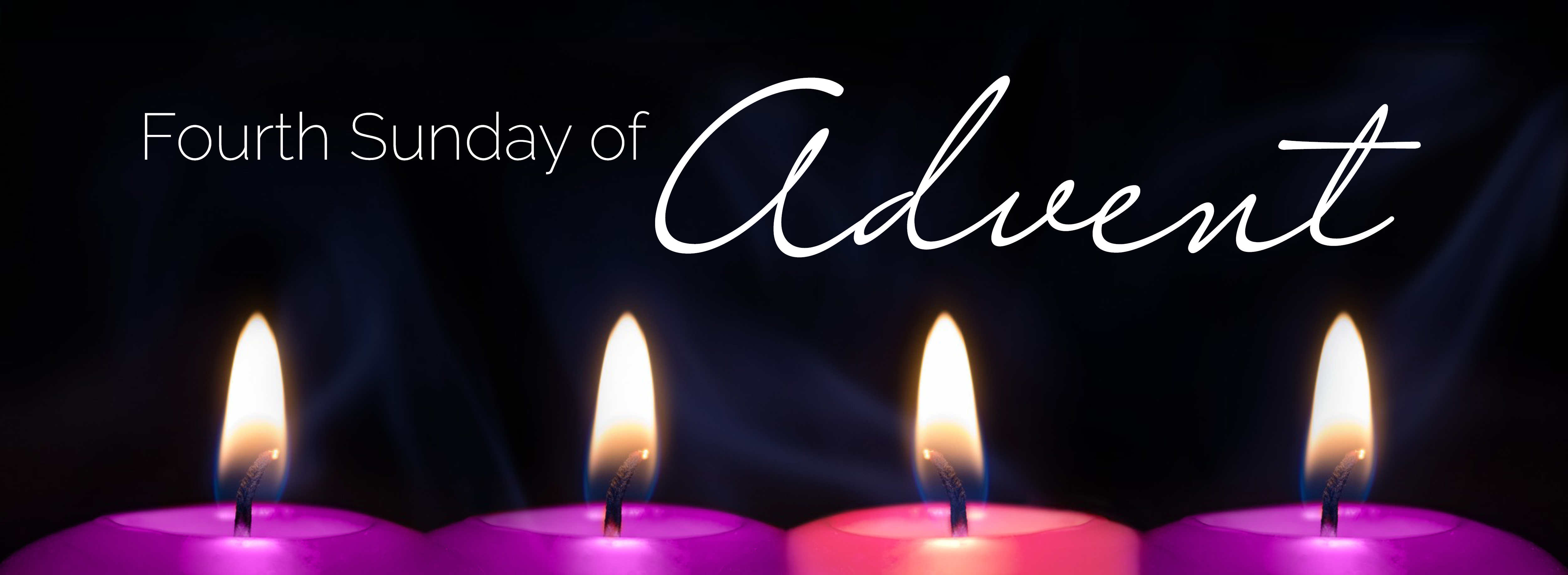 Advent 2024 web_04