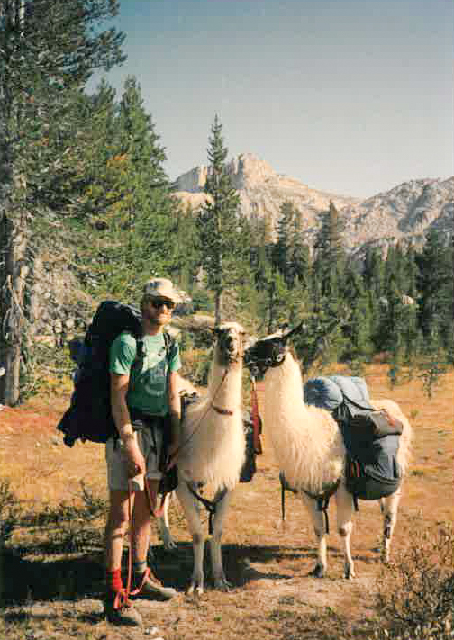 mike & llamas-2