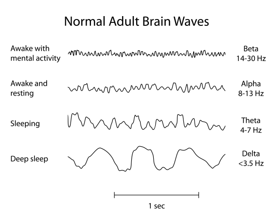 neurotherapy-neurofield-neurotherapy-inc-santa-barbara