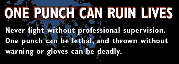 GB-One-Punch-Banner_copy