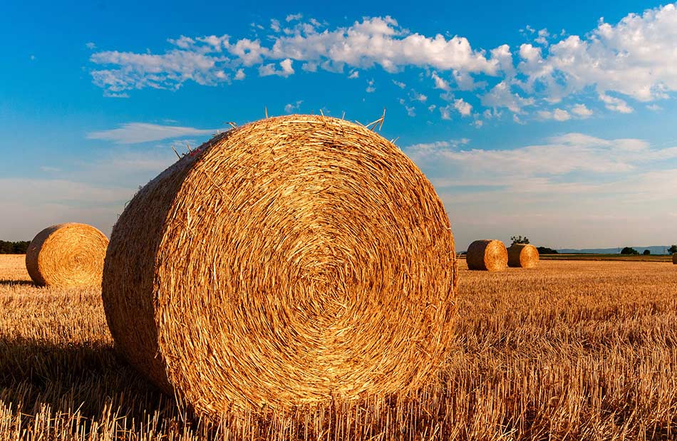 Bale_Hay