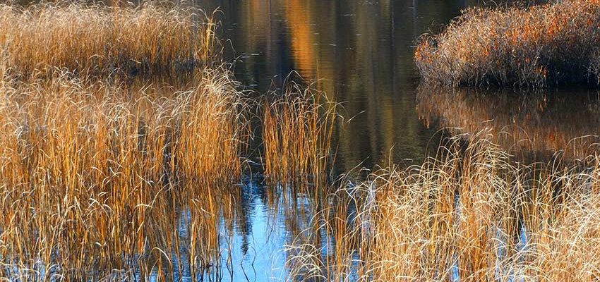 Sample_img04