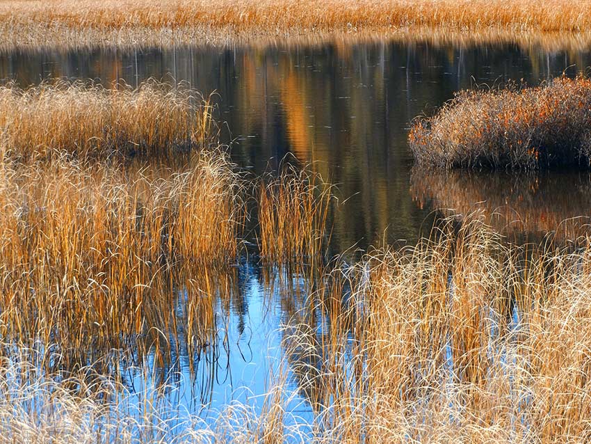 Water_Background