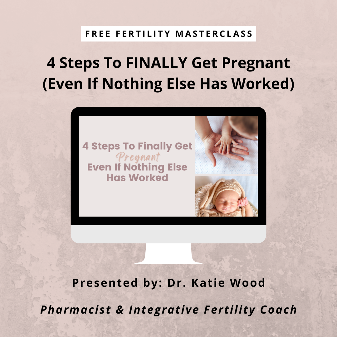 Get Pregnant Now Masterclass