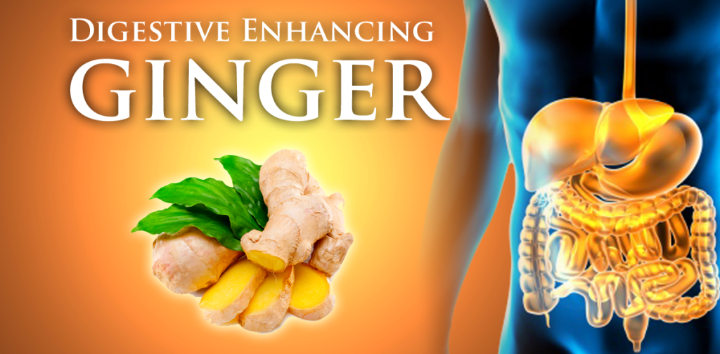 GingerDigestCover-1024x504-1024x504
