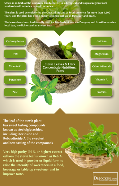 SteviaChartGraphic-658x1024