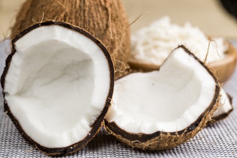 coconut-480x320