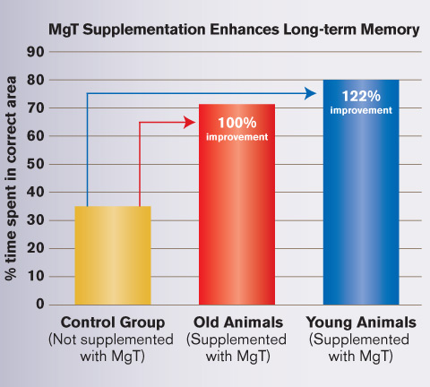 feb2012_Novel-Magnesium-Compound-Reverses-Neurodegeneration_05